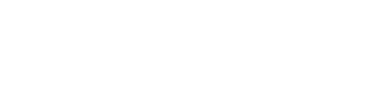Texas Logo